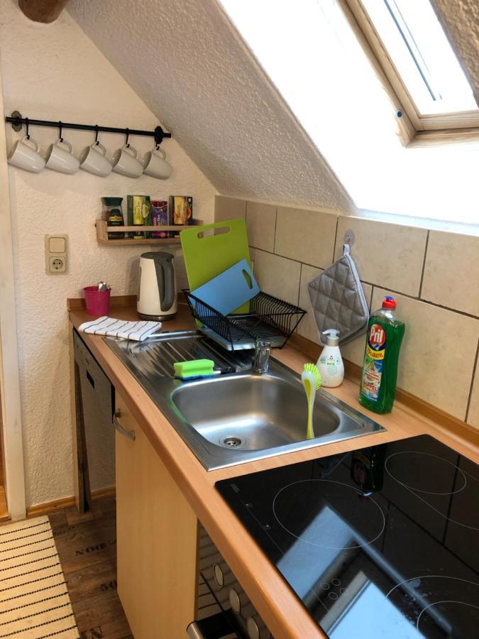 Saidenbachhaus Villa Großhartmannsdorf Kültér fotó